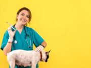 Más de 500 mascotas fueron vacunadas en Mosquera