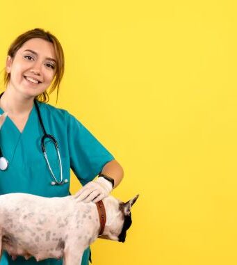 Más de 500 mascotas fueron vacunadas en Mosquera