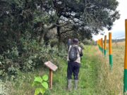 Chía fortalece la conservación de fuentes hídricas