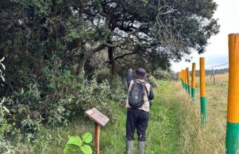 Chía fortalece la conservación de fuentes hídricas