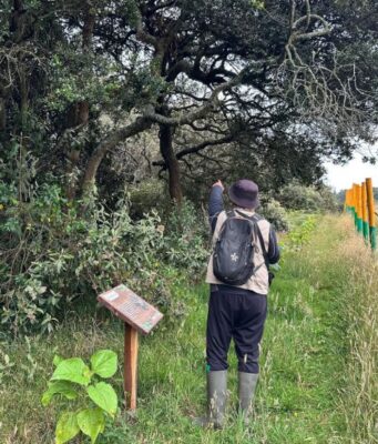 Chía fortalece la conservación de fuentes hídricas