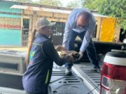 Fauna silvestre rescatada en Guaduas llega a Tocaima