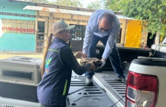 Fauna silvestre rescatada en Guaduas llega a Tocaima