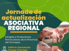 Fusagasugá será sede de jornada para productores porcícolas del Sumapaz