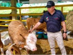 Fusagasugá y La Mesa fortalecen el bienestar animal