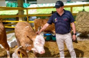Fusagasugá y La Mesa fortalecen el bienestar animal