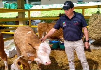 Fusagasugá y La Mesa fortalecen el bienestar animal