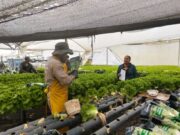 Madrid fortalece la resiliencia agrícola frente al cambio climático