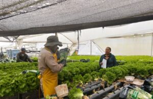 Madrid fortalece la resiliencia agrícola frente al cambio climático