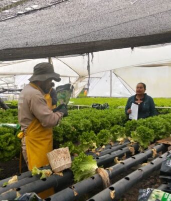 Madrid fortalece la resiliencia agrícola frente al cambio climático