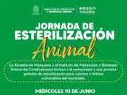 Mosquera realizará jornada gratuita de esterilización animal