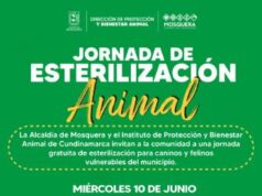 Mosquera realizará jornada gratuita de esterilización animal