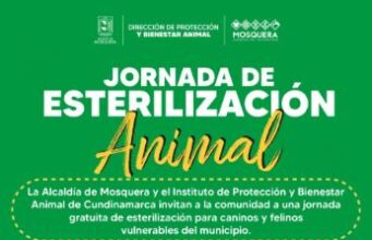 Mosquera realizará jornada gratuita de esterilización animal