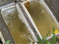 Pacho fortalece la legalización del agua ante el Fenómeno de El Niño