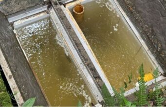 Pacho fortalece la legalización del agua ante el Fenómeno de El Niño
