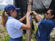 Proyecto solar en Guaduas queda bajo investigación por manejo de residuos