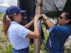 Proyecto solar en Guaduas queda bajo investigación por manejo de residuos