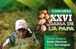 Sibaté exaltará a sus campesinos en los concursos Azadón de Oro y Dama de la Papa