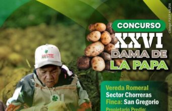 Sibaté exaltará a sus campesinos en los concursos Azadón de Oro y Dama de la Papa