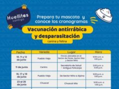 Sopó intensifica jornadas de vacunación animal