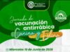 Vacunación antirrábica continúa en Madrid