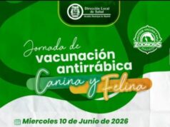 Vacunación antirrábica continúa en Madrid