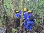 CAR agiliza autorización de talas y podas por riesgo de caída de árboles ante fenómeno de El Niño