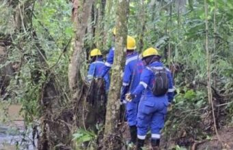 CAR agiliza autorización de talas y podas por riesgo de caída de árboles ante fenómeno de El Niño
