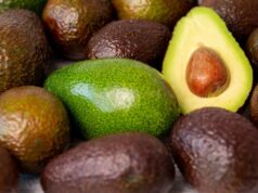 Fusagasugá será sede del Encuentro de Aguacateros