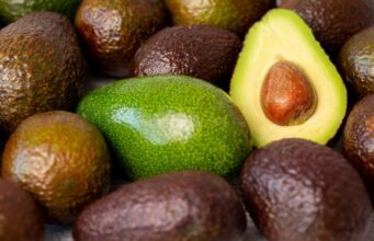 Fusagasugá será sede del Encuentro de Aguacateros