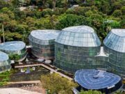 Jardín Botánico de Bogotá presenta su agenda cultural y académica para julio