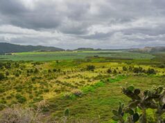 Mosquera fortalece la educación ambiental