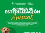 Mosquera realizará jornada gratuita de esterilización para perros y gatos