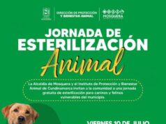 Mosquera realizará jornada gratuita de esterilización para perros y gatos