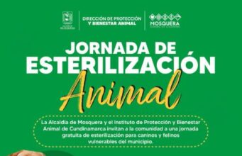 Mosquera realizará jornada gratuita de esterilización para perros y gatos