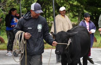 Sibaté fortalece el sector ganadero con Feria Ganadera
