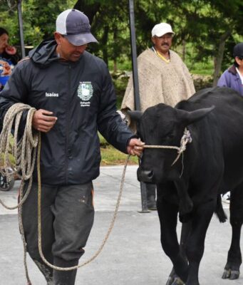 Sibaté fortalece el sector ganadero con Feria Ganadera