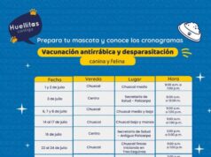 Sopó fortalece la protección de perros y gatos con jornadas gratuitas