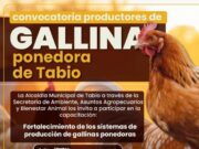 Tabio capacitará a productores de gallina ponedora para fortalecer la producción avícola