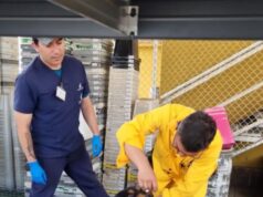 Tenjo lleva jornadas de vacunación y desparasitación