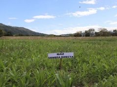 CAR activa estrategia para prevenir incendios forestales ante llegada de El Niño