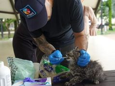 Cundinamarca realizó atenciones de bienestar animal