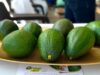 Encuentro Aguacatero reunió a productores y expertos en Fusagasugá