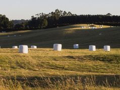 Programa de Pacas Biodigestoras en Sopó