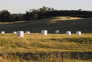 Programa de Pacas Biodigestoras en Sopó