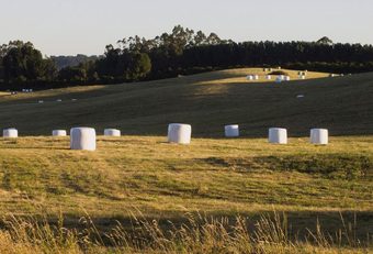 Programa de Pacas Biodigestoras en Sopó