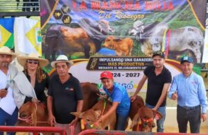 Villagómez fortalece su ganadería