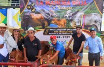 Villagómez fortalece su ganadería