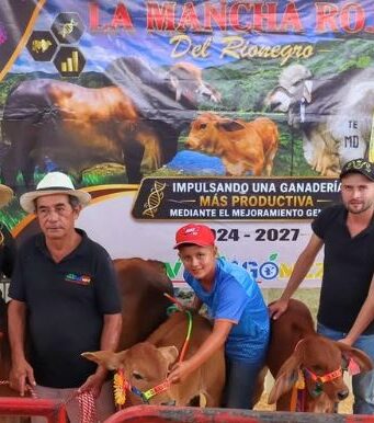 Villagómez fortalece su ganadería