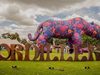 Bogotá proyecta impacto económico de $108.942 millones con Festival Cordillera